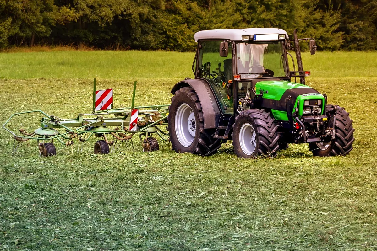 The Seasonal Mowing Guide: When and How to Cut Your Meadow